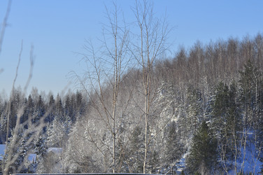 Similar image 21721475