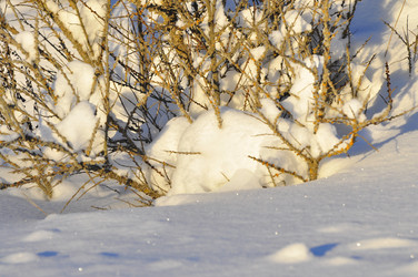 Similar image 21721476