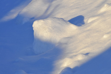 Similar image 21721477