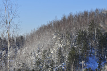 Similar image 21721478