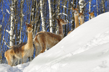 Similar image 21721480