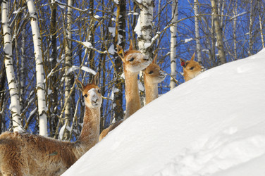 Similar image 21721481