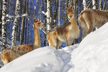 Similar image 21721482