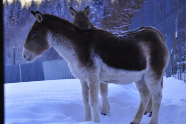 Similar image 21721485