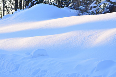 Similar image 21721486