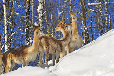 Similar image 21721487