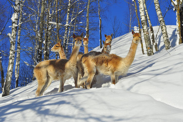 Similar image 21721492