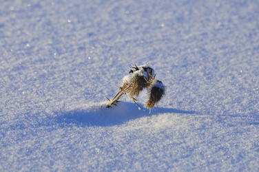 Similar image 21721494