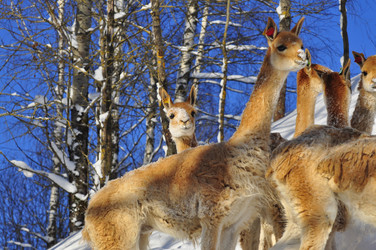 Similar image 21721495