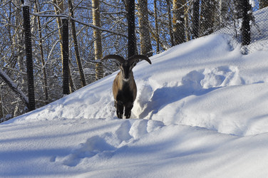 Similar image 21721497