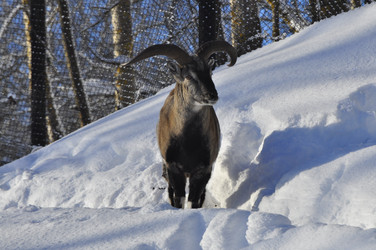 Similar image 21721498