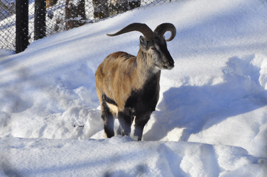 Similar image 21721501