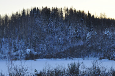 Similar image 21721502