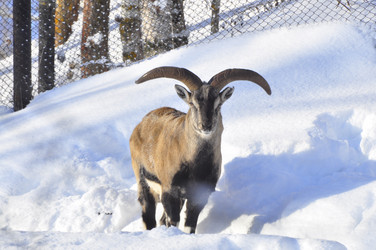 Similar image 21721503