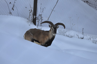 Similar image 21721504