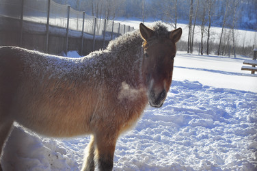 Similar image 21721505