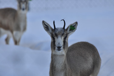 Similar image 21721506