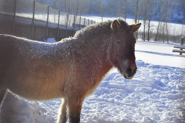 Similar image 21721507