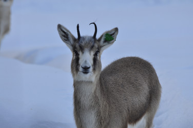 Similar image 21721508