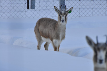 Similar image 21721510