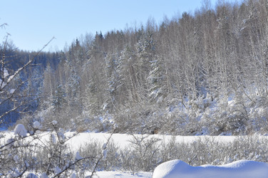 Similar image 21721511