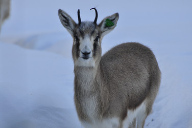 Similar image 21721512