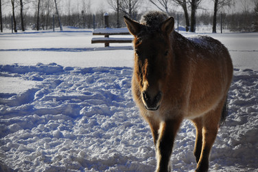 Similar image 21721513