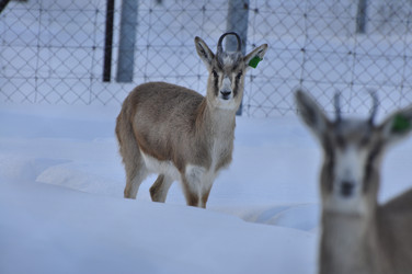 Similar image 21721514