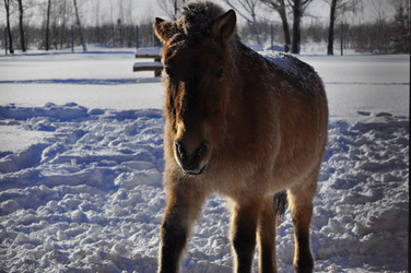 Similar image 21721515