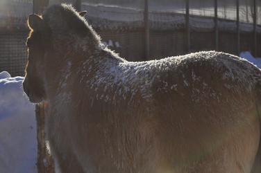 Similar image 21721517