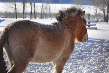 Similar image 21721518