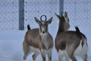 Similar image 21721519