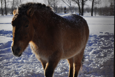 Similar image 21721520