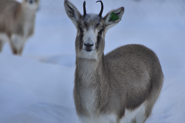 Similar image 21721521