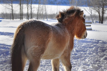 Similar image 21721522