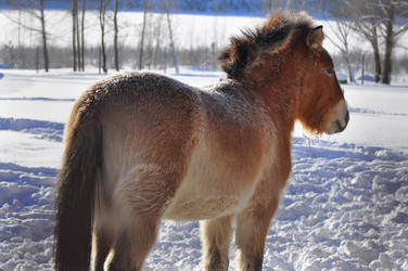 Similar image 21721524