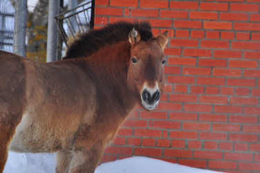 Similar image 21721525