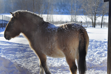 Similar image 21721784