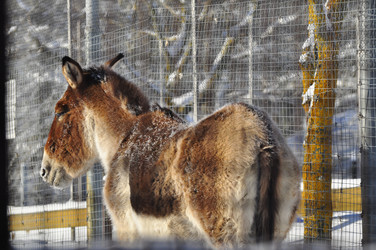 Similar image 21721785