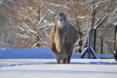 Similar image 21721786