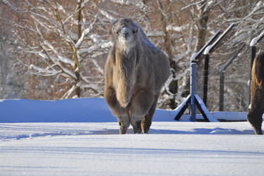 Similar image 21721787