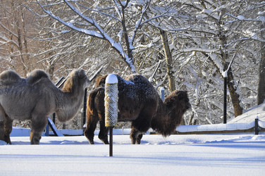 Similar image 21721788