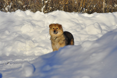 Similar image 21721791