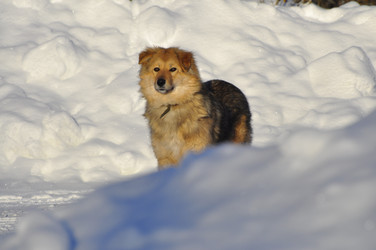 Similar image 21721792