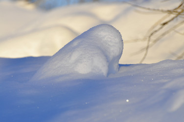 Similar image 21721793