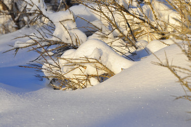 Similar image 21721794