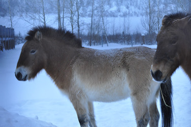 Similar image 21721850