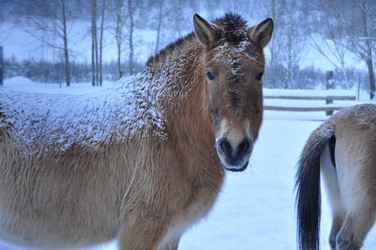 Similar image 21721528