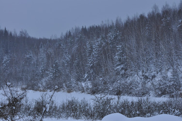 Similar image 21721531