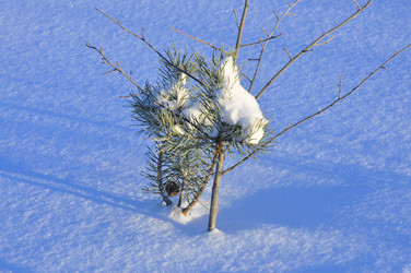 Similar image 21721532